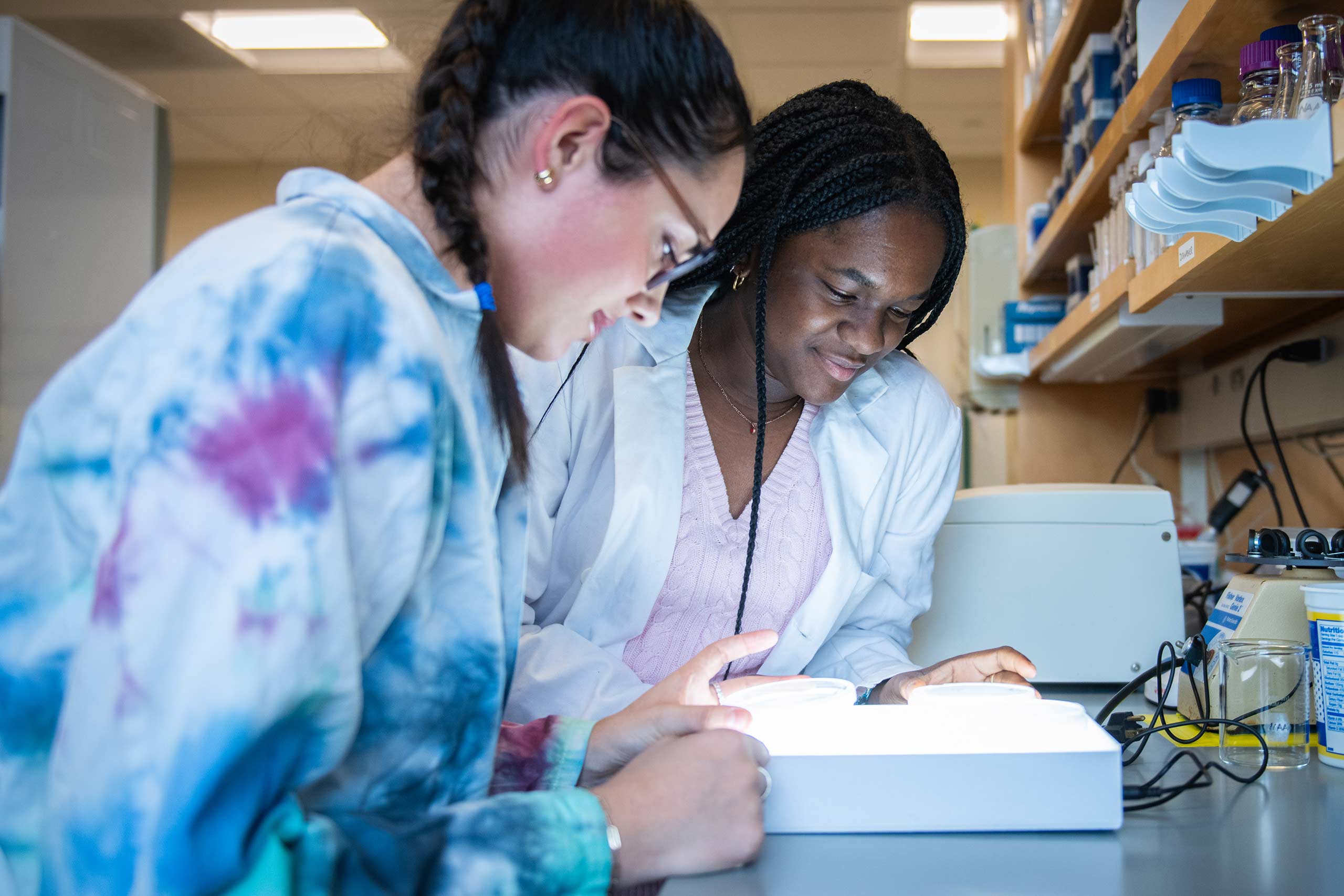 Two students conducting research in the Nathan Alhgren Lab