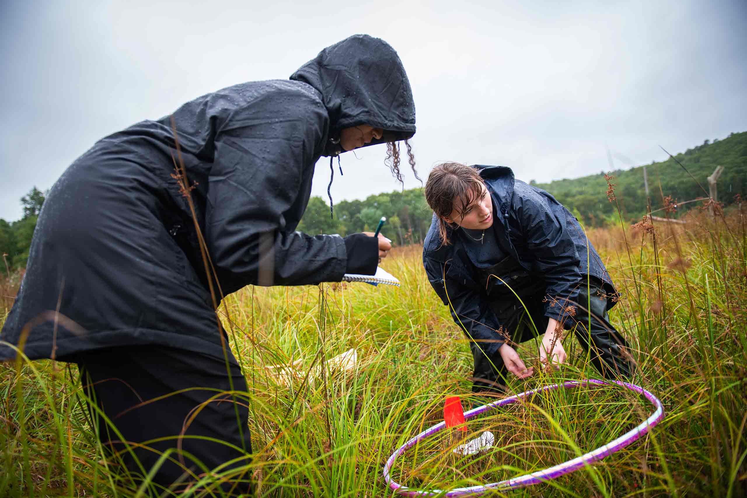 Students in Elisabeth Bone's Ecological Restoration course record data at a restored cranberry bog.