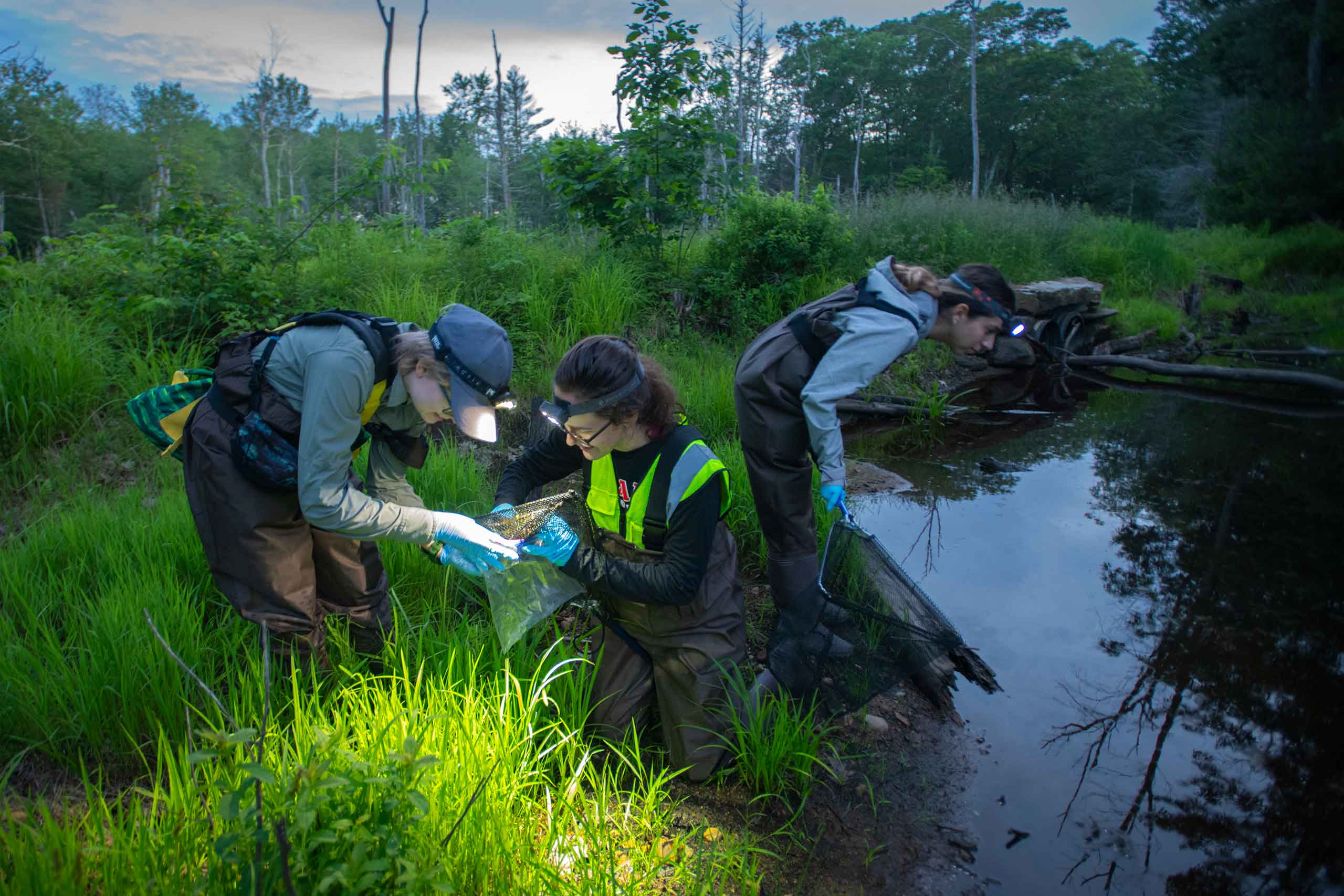 Students gathering specimens in a local pond.