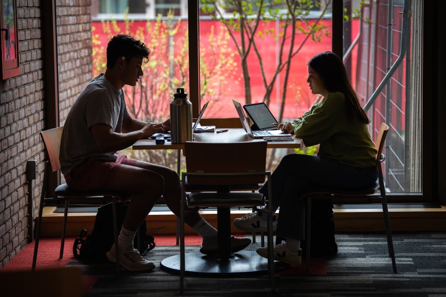 Students study in the Academic Commons