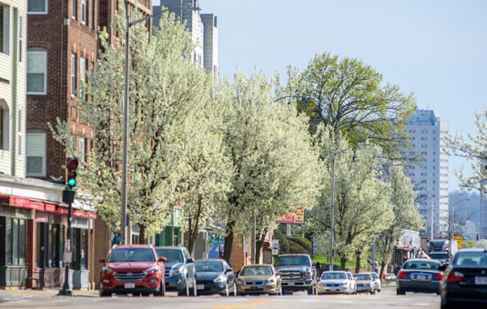 Main Street South neighborhood with cars and buildings