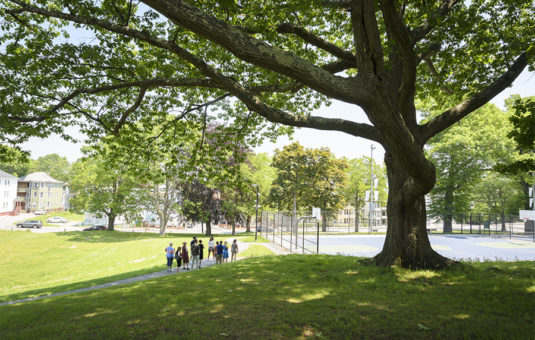 community members looking over basketball court