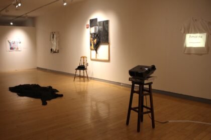 Gallery view, Lachell C. Workman: Urban Fabric, Shiltkamp Gallery, Clark University