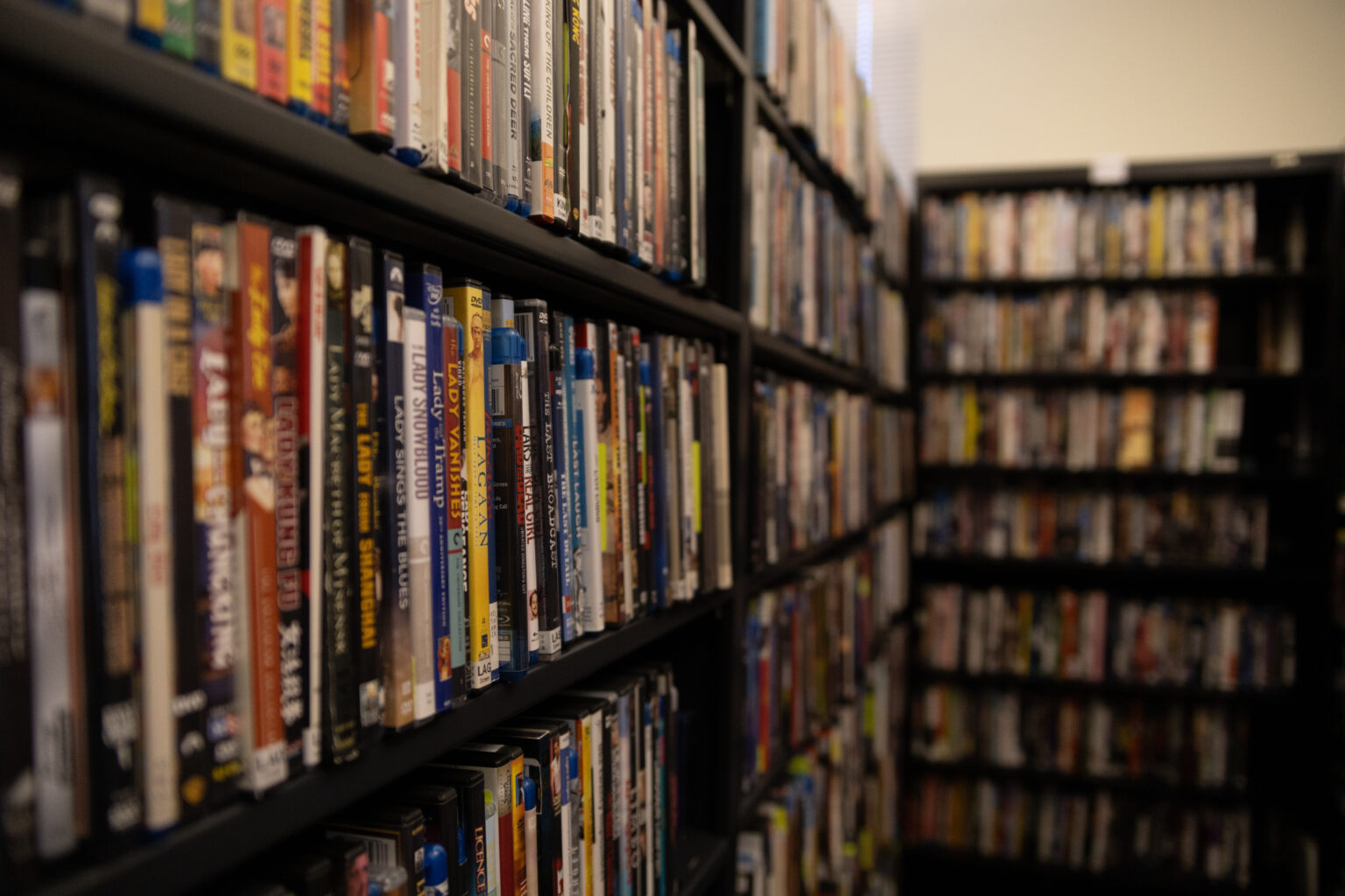 A collection of dvds housed on shelves