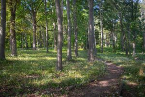 Hadwen arboretum, Clark University