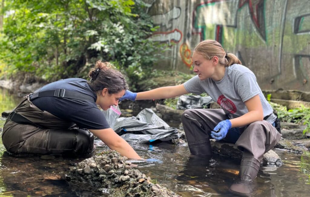 students help clean up Beaver Brook