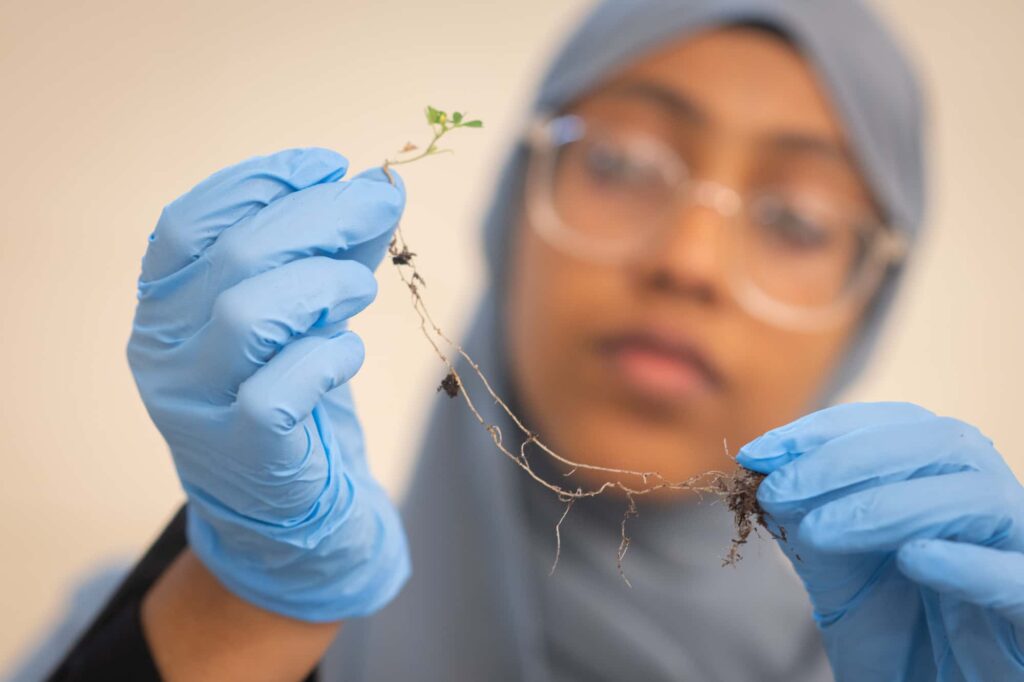 a researcher studies plant roots