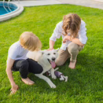 Boys playing with dog on the lawn