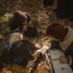 Students studying wetlands in the Harvard Forest