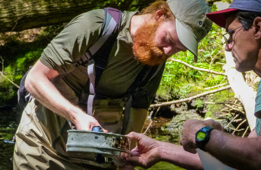 Majors-Environmental-Science