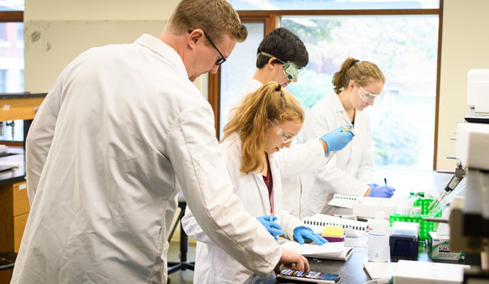 Student doing lab