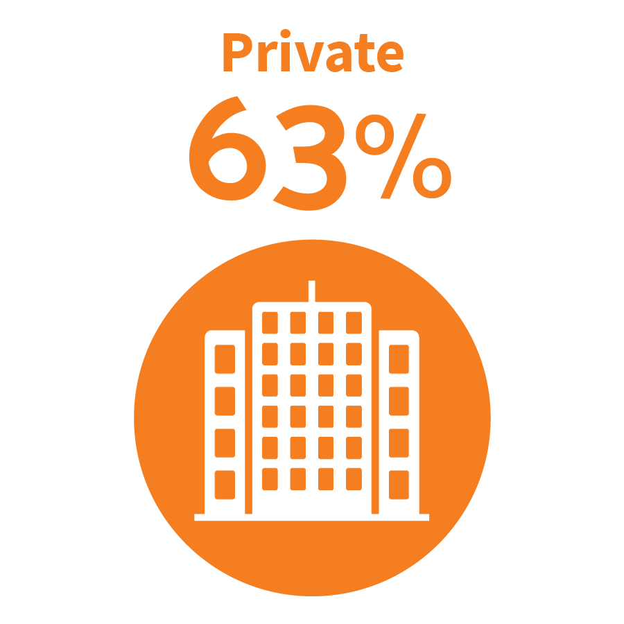 graphic image - Private Sector 63%