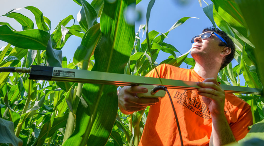 male in field with equipment