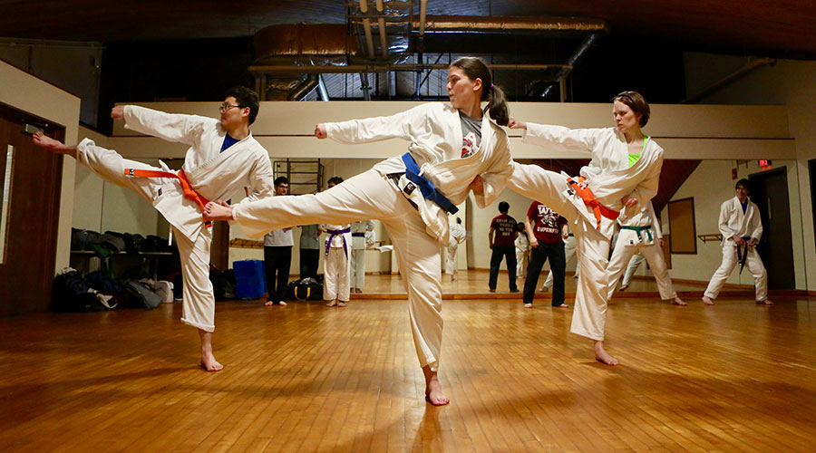 Students doing karate