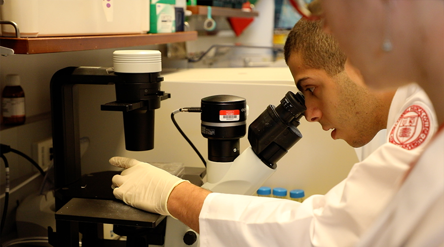 student using microscope