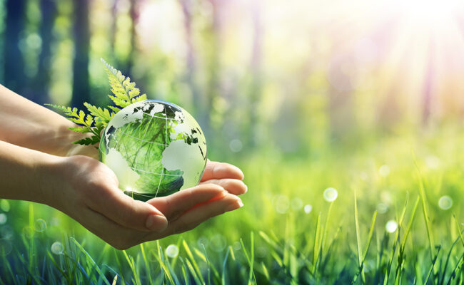 Hands holding globe and plant in front of grass