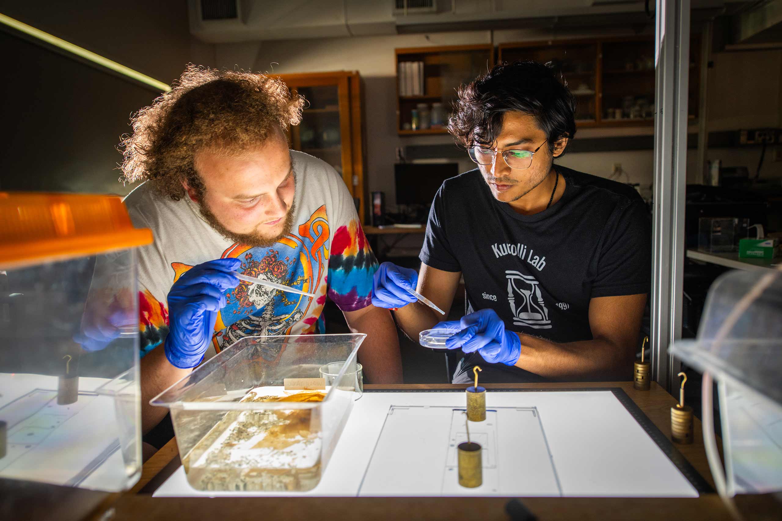 Simon Bissitt ’26 and Ph.D. candidate Sohum Kapadia conduct experiments with worms in Professor Arshad Kudrolli’s physics lab.