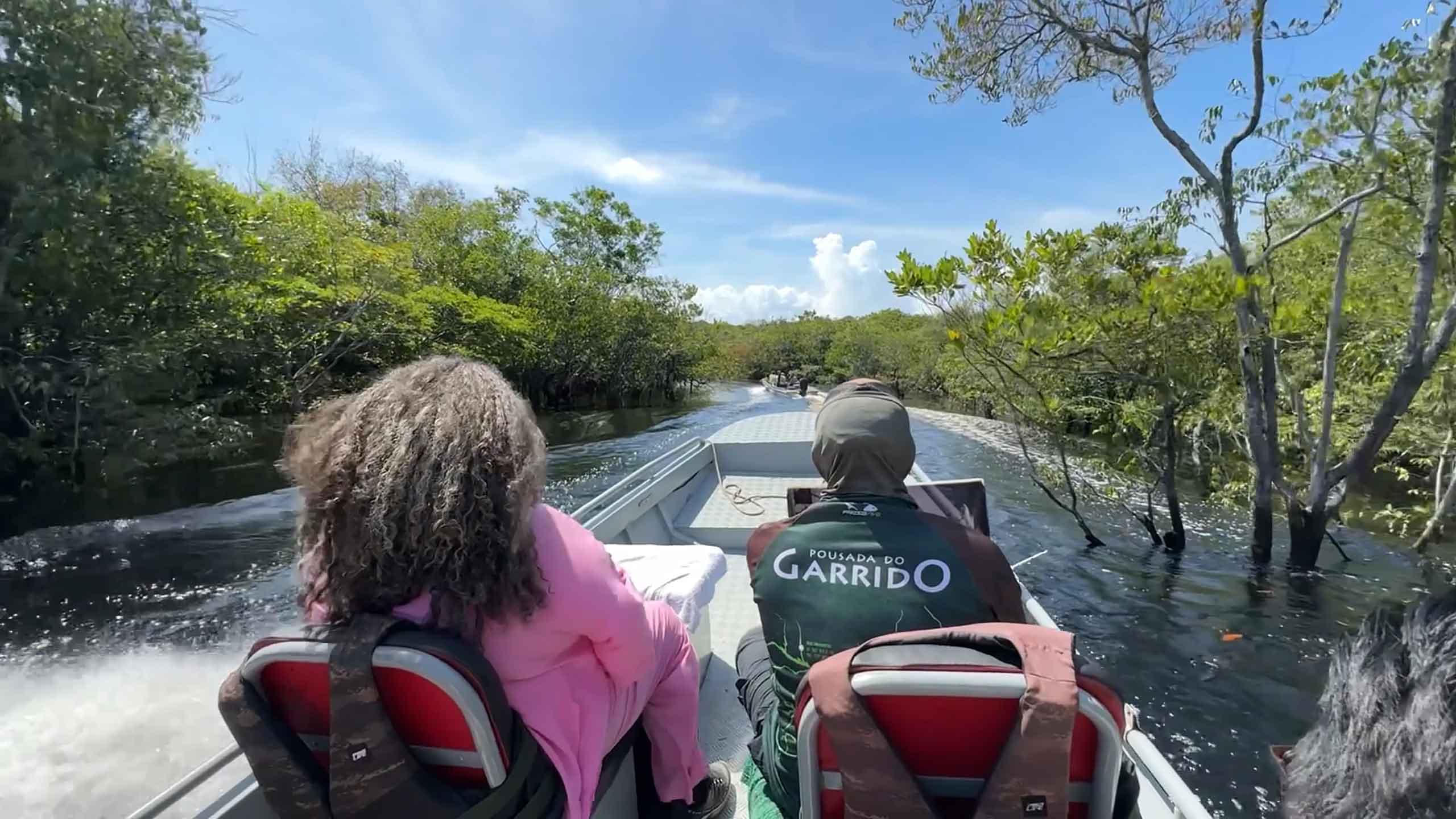 Montage of Geography Professor Florencia Sangermano's work in a five-year international rainforest competition