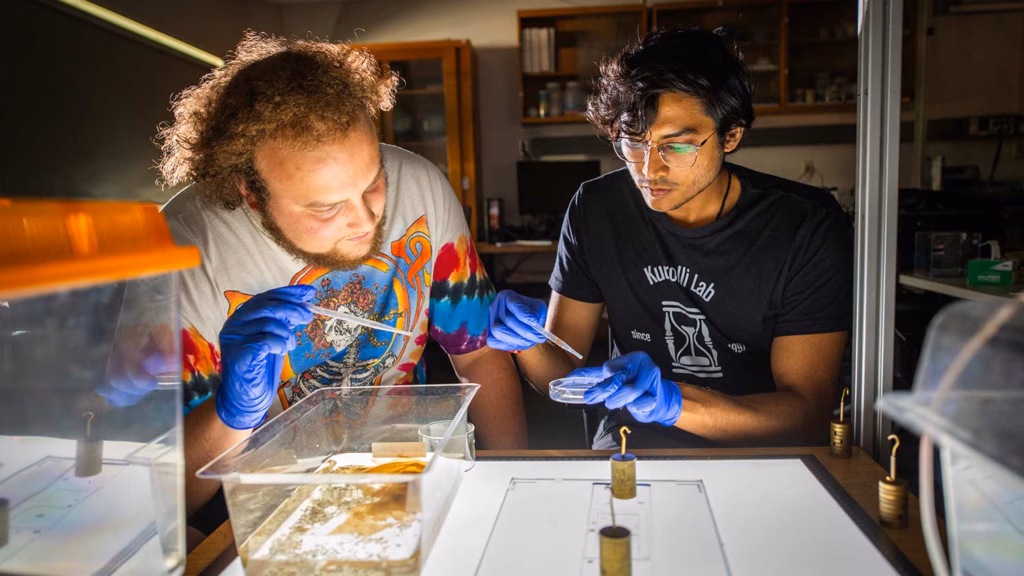 Simon Bissitt ’26 and Ph.D. candidate Sohum Kapadia conduct experiments in Professor Arshad Kudrolli’s physics lab.
