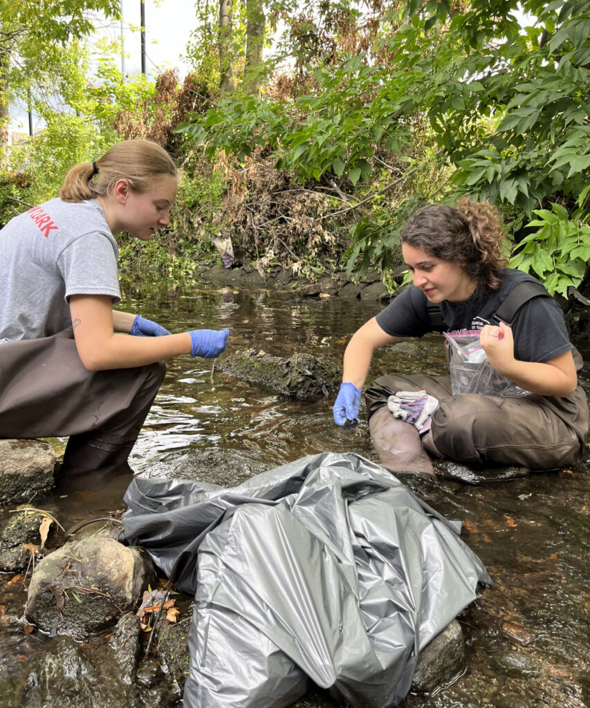 Students cleaning trash out of Beaver Brook in Worcester