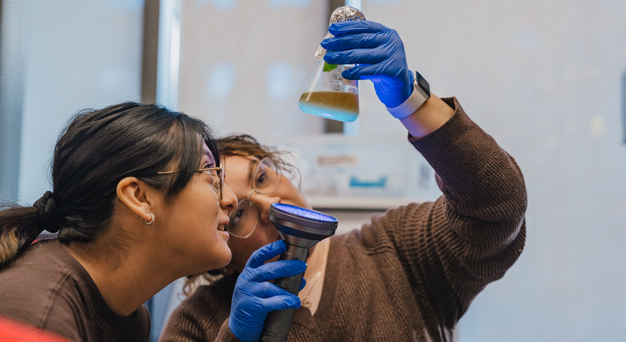 Students examine a sample under UV light in the lab.