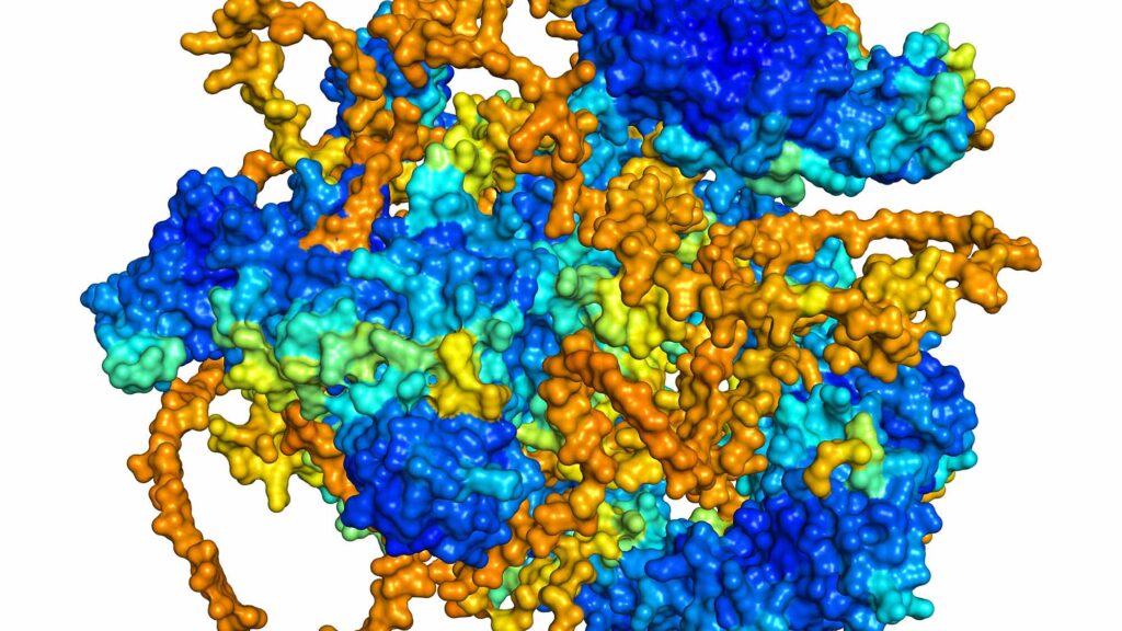 3D rendering of E3 ubiquitin-protein ligase HECTD1 as predicted by alphafold and colored according to confidence in the model