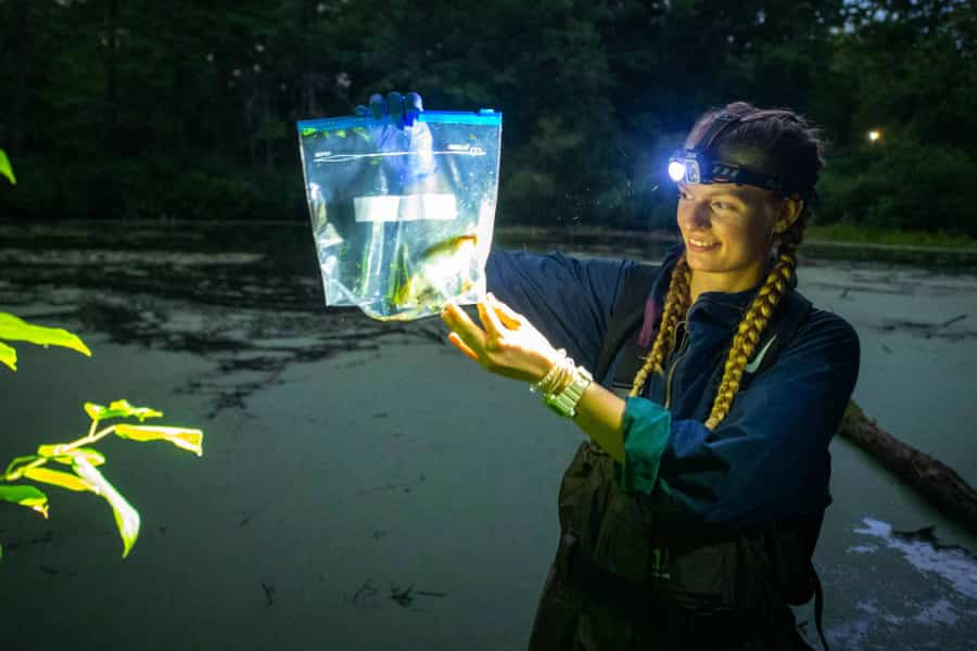 a student performs a frog survey