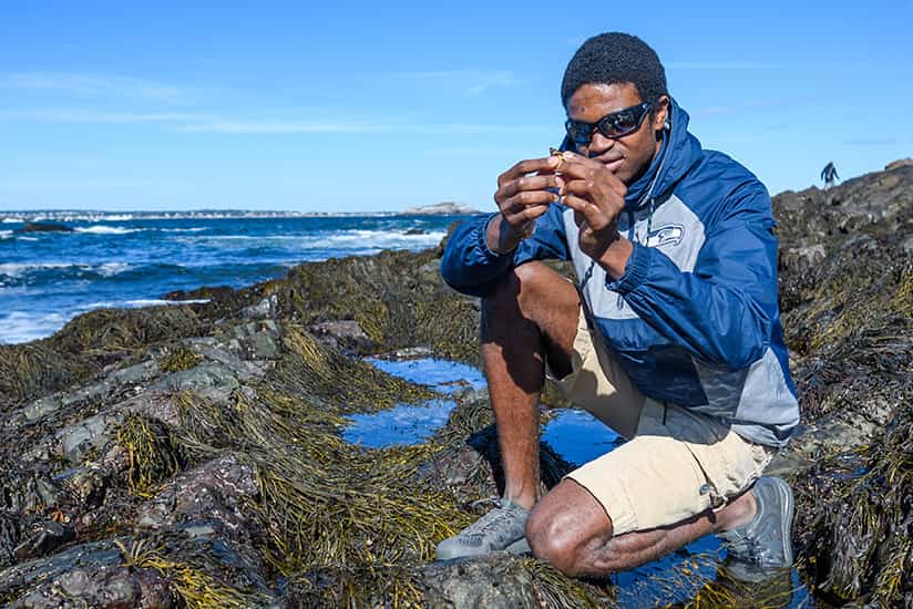 a student performs on-site research in Nahant