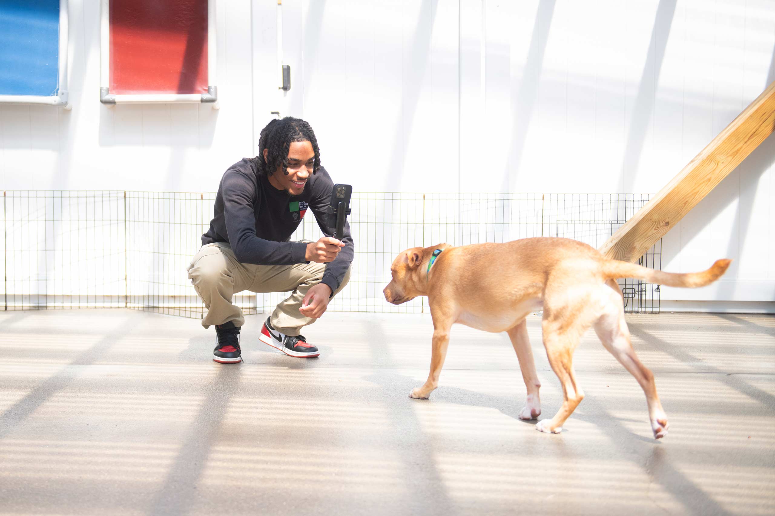 Luca Houtsmuller works on a video for a social media post for Second Chance Animal Services