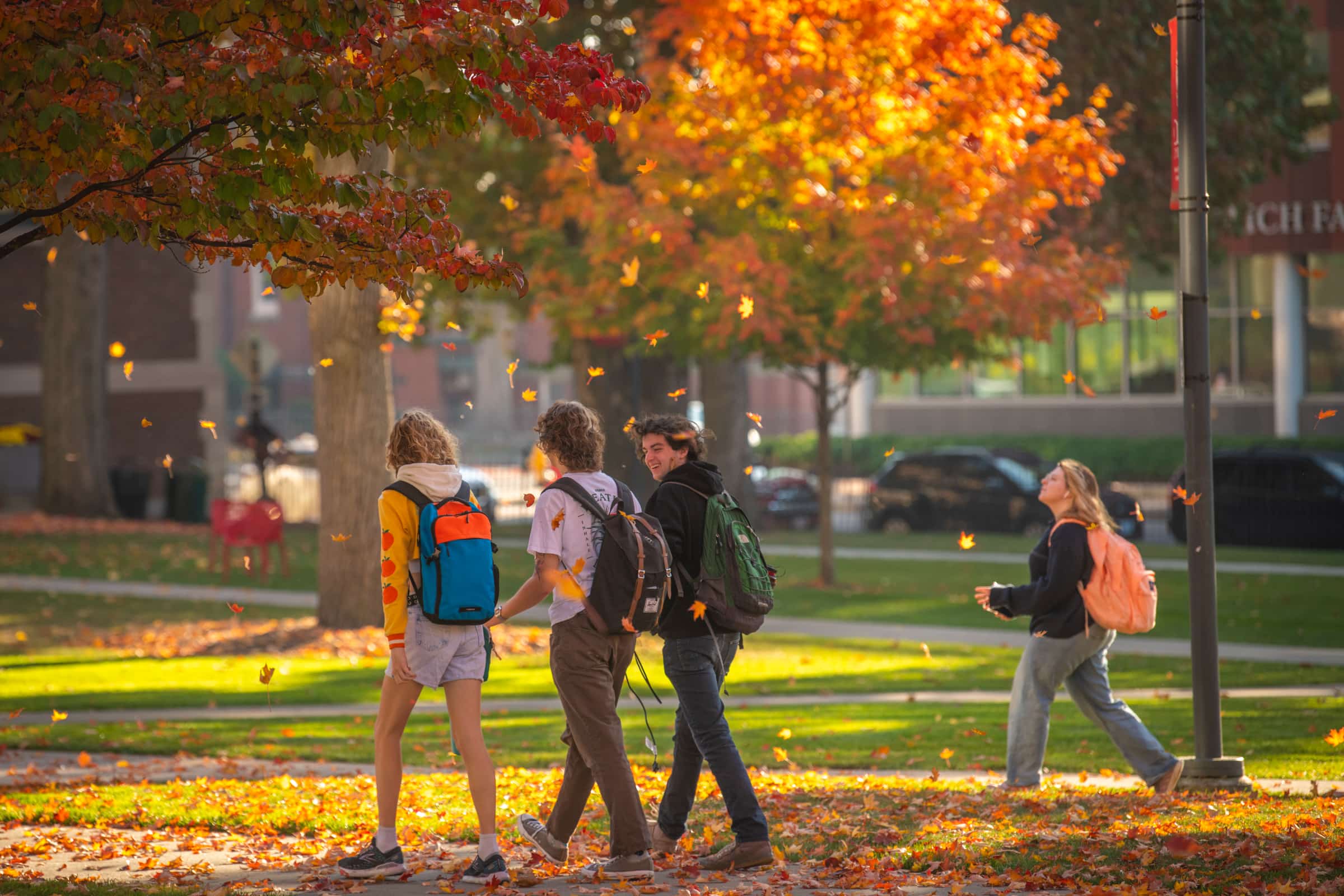 Students walk across campus amidst fall leaves.