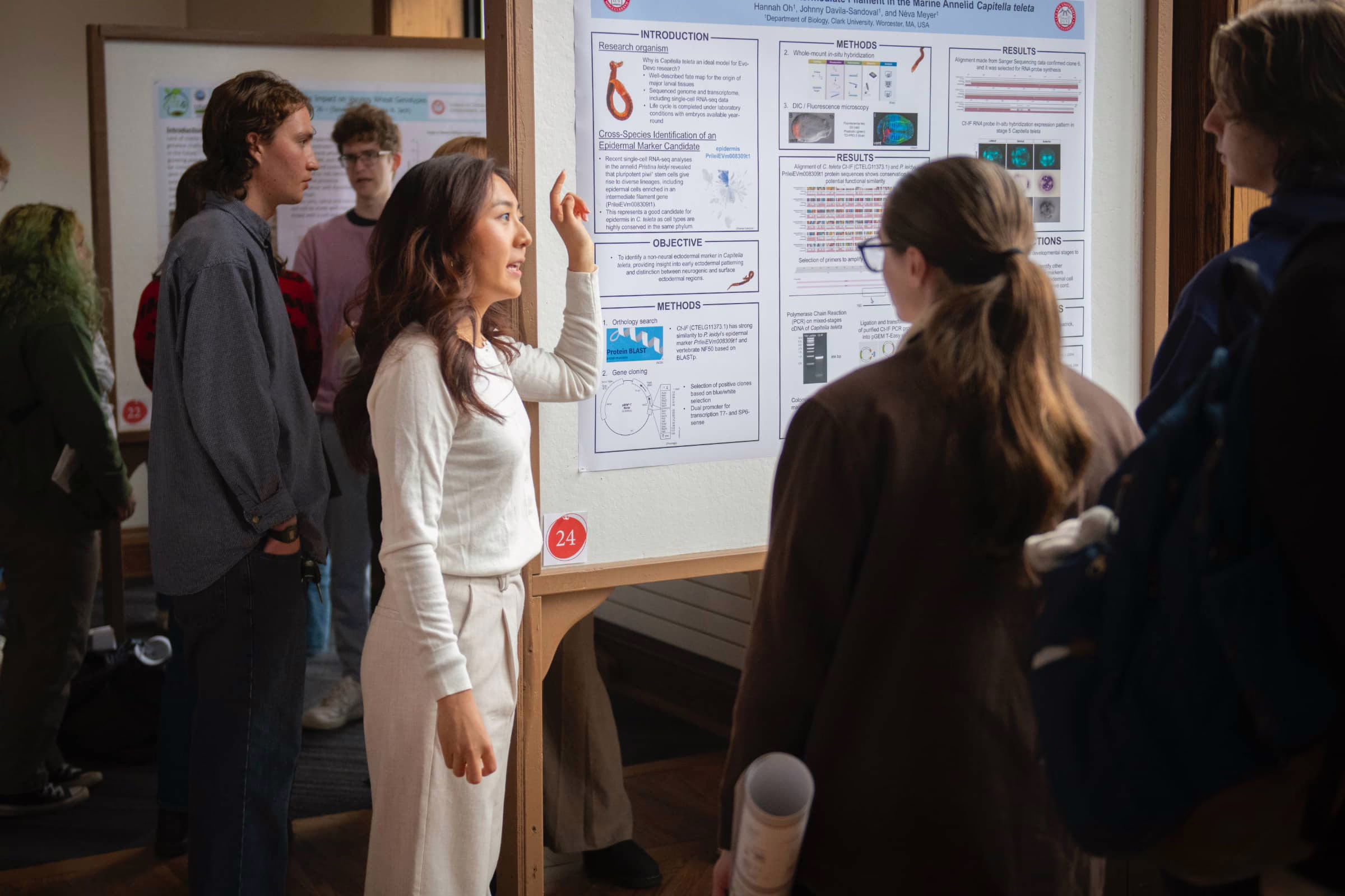 Students present their work at ClarkFest, a showcase of original student research and practice.
