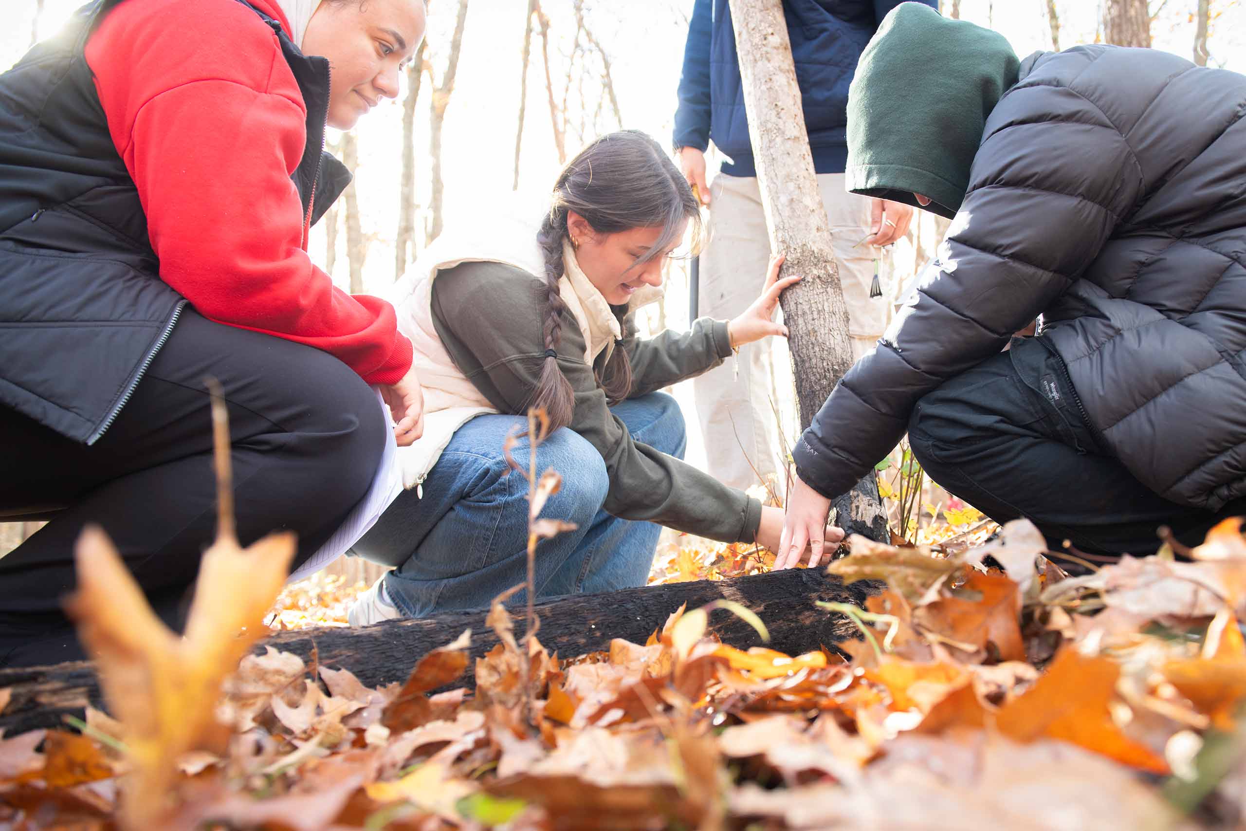 A student crouching down near the forest floor to examine a tree