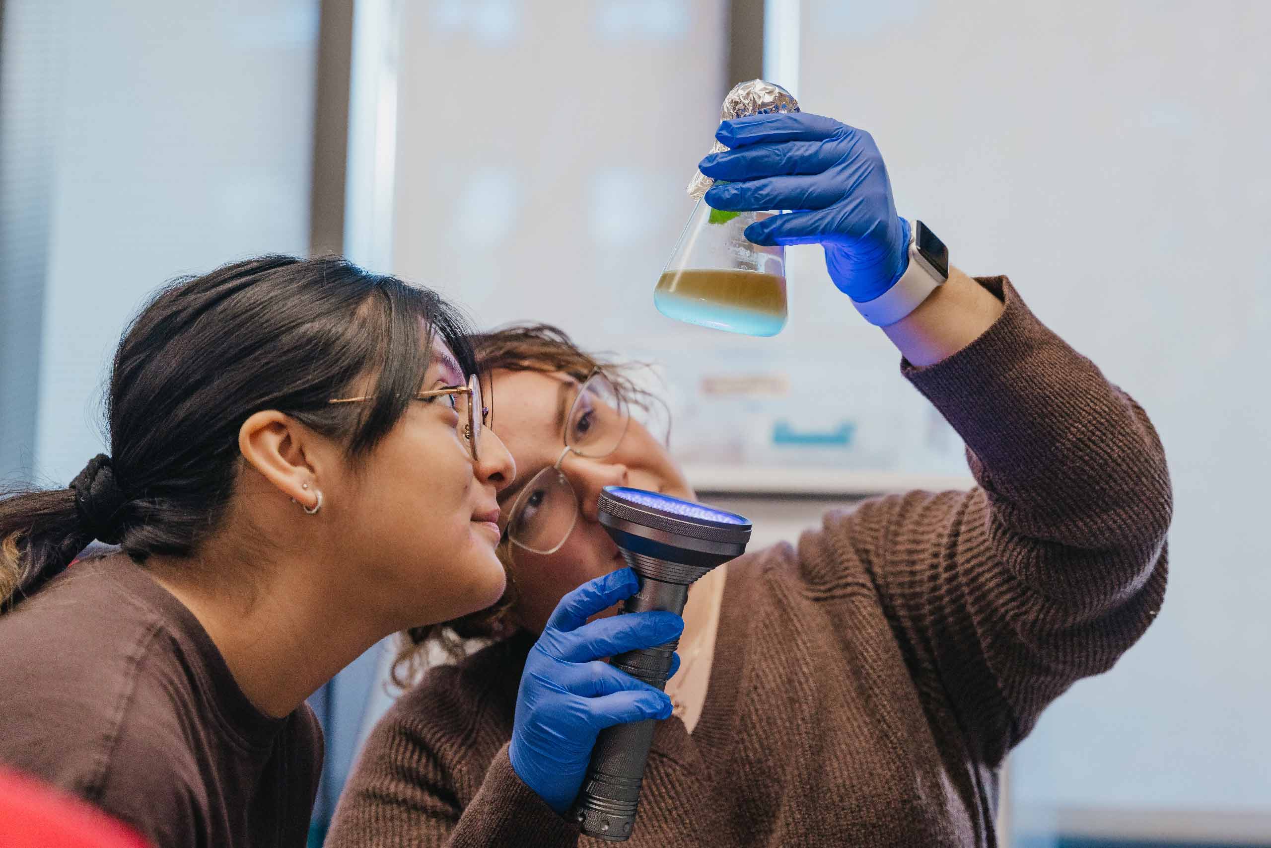 Darlene Polanco Molina and a fellow student in the Latines in STEM club examine a specimen together in the biology lab