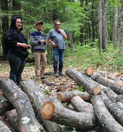 Noemia Kazue Ishikawa (from Brazil), left, and Kazuhisa Terashima (from Japan) visit with a Massachusetts farmer who uses the traditional log method to grow shiitake.