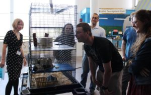 Betsy Loring of the EcoTarium (left) and professor Colin Polsky (third from left) look on as student observe rats that could be used in an exhibit