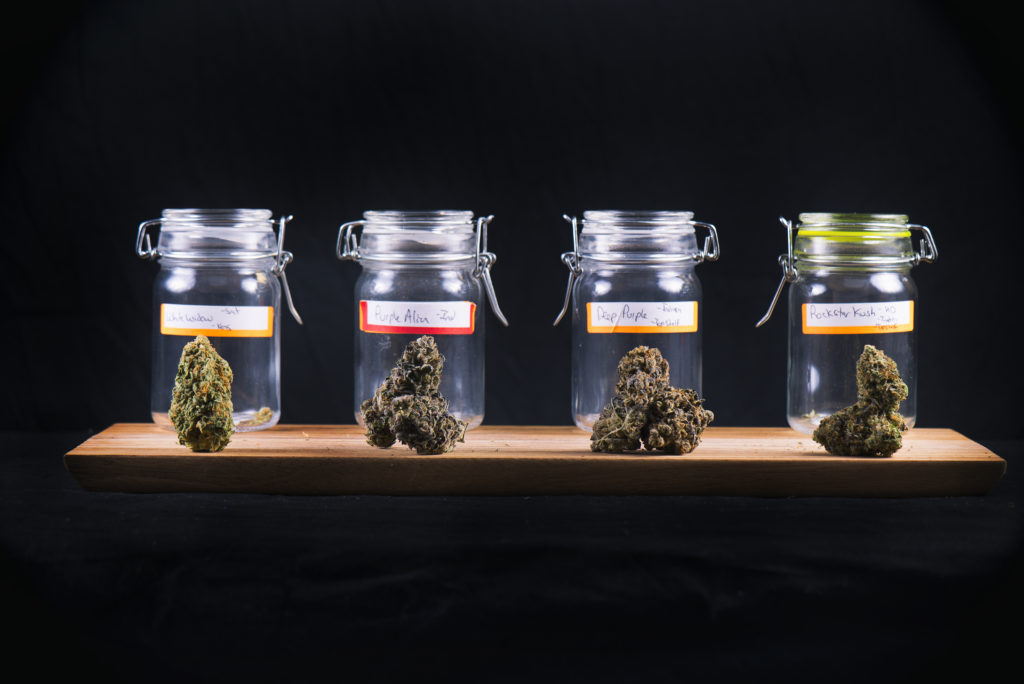 cannabis jars