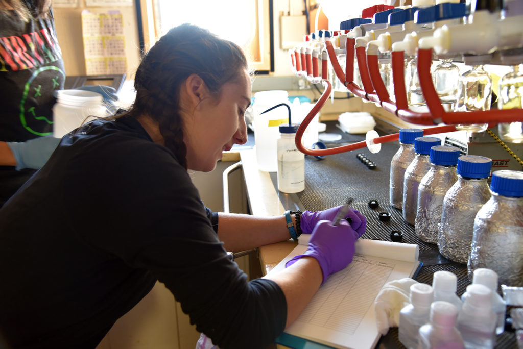 Sophie Spiliotopoulos works on the arctic icebreaker.