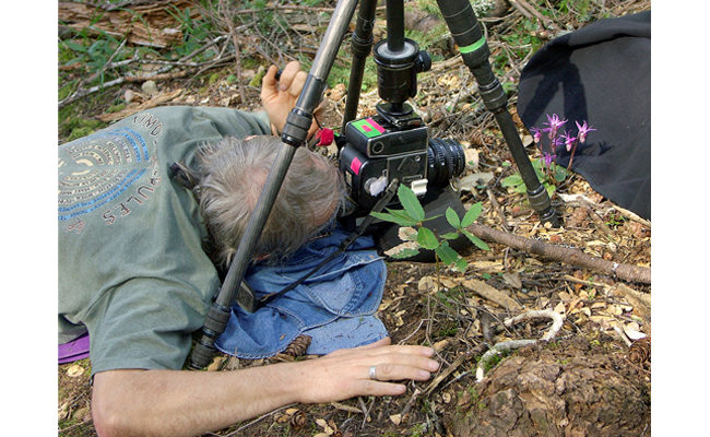 Rob Badger photographing wildflowers