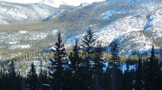 In the Colorado Rockies, bright snow contrasts with the dark forest, which creates the albedo effect. v