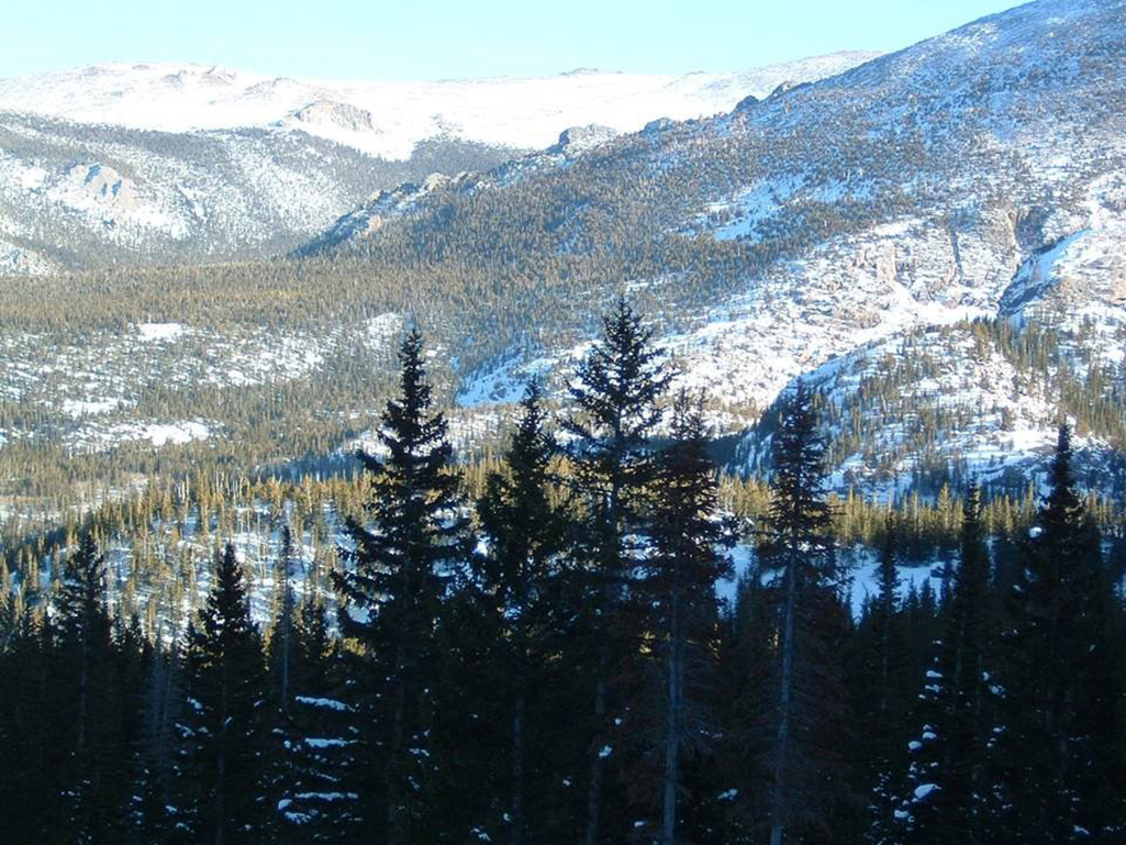 In the Colorado Rockies, bright snow contrasts with the dark forest, which creates the albedo effect. v