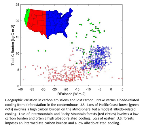 Figure explaining geographic variation in forest loss