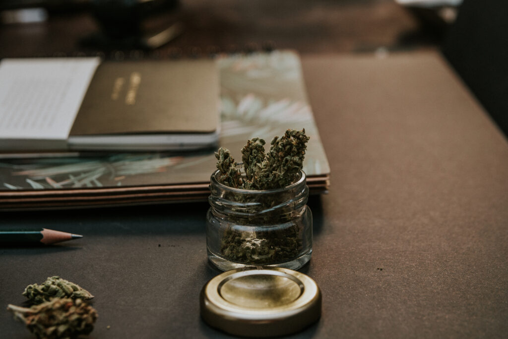 Cannabis plant on desk with notebook