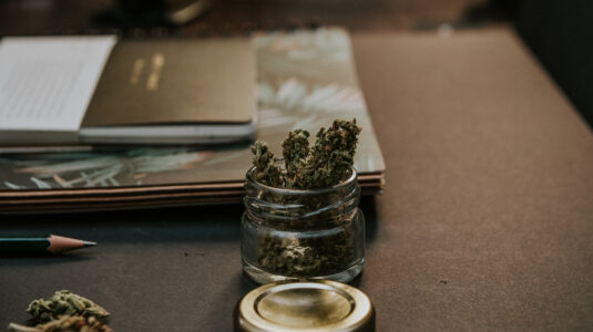 Cannabis plant on desk with notebook