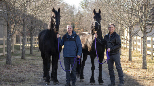 David Fithian and Michael Rodriguez with two of their Fresian horses