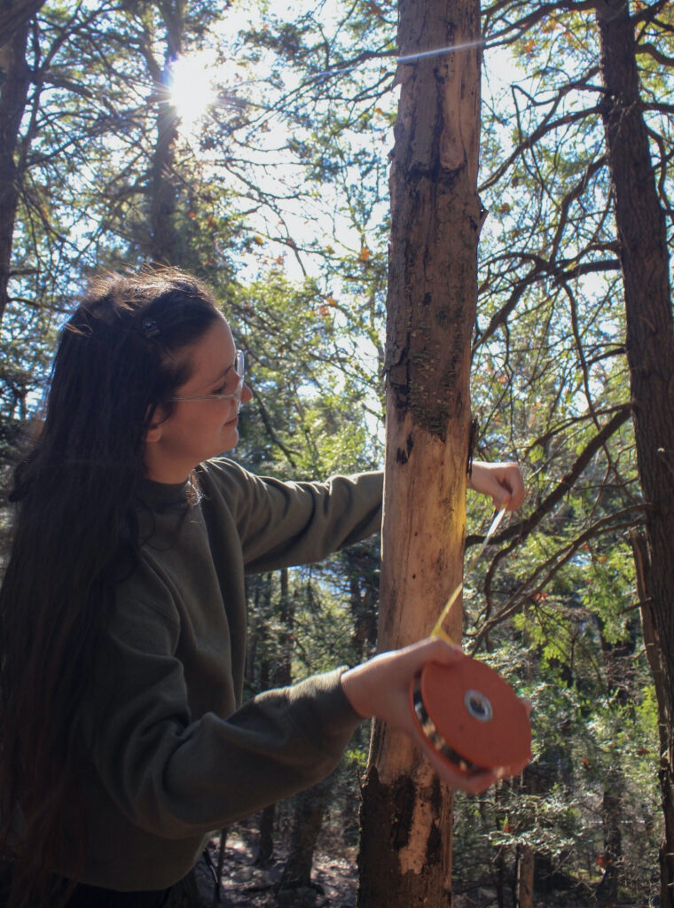 student in woods