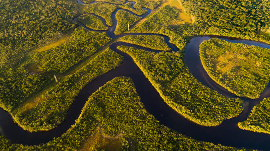 Amazon Rainforest in Brazil