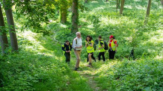 professor and students in woods