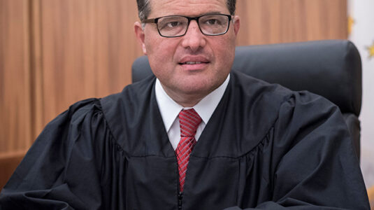 Judge Brian Stern