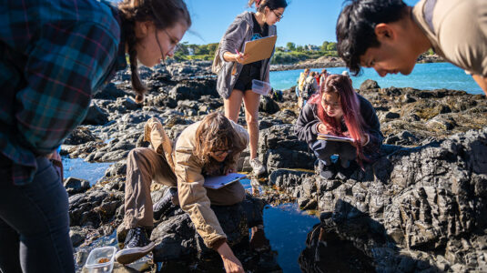 Students on rocks near ocean looking at marine life