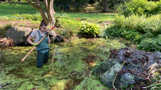 student standing in swamp